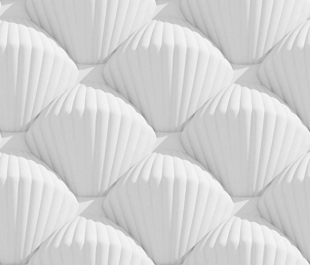 Фотообои в интерьере 3д белые ракушки  10-807 фото