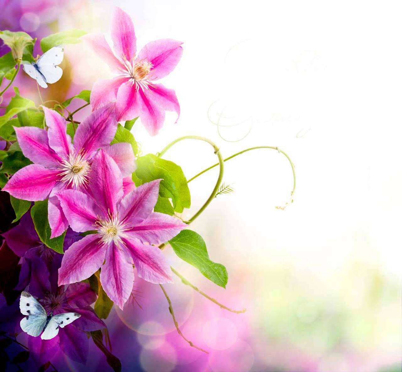 Фотообои в интерьере крупные сиреневые цветы  4-046 фото