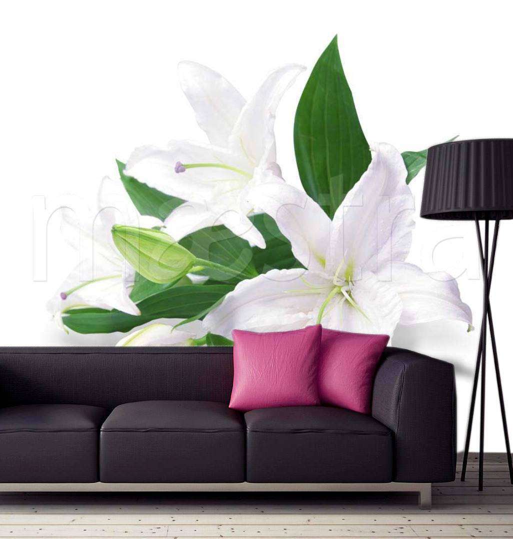 Фотообои Белая лилия  9-002