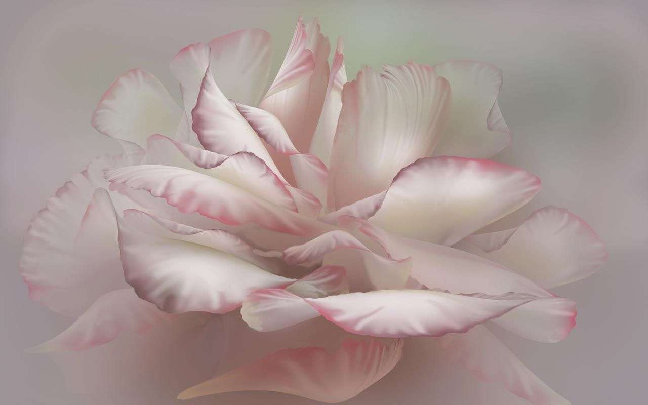 Фотообои в интерьере лепестки пиона  13-483 фото