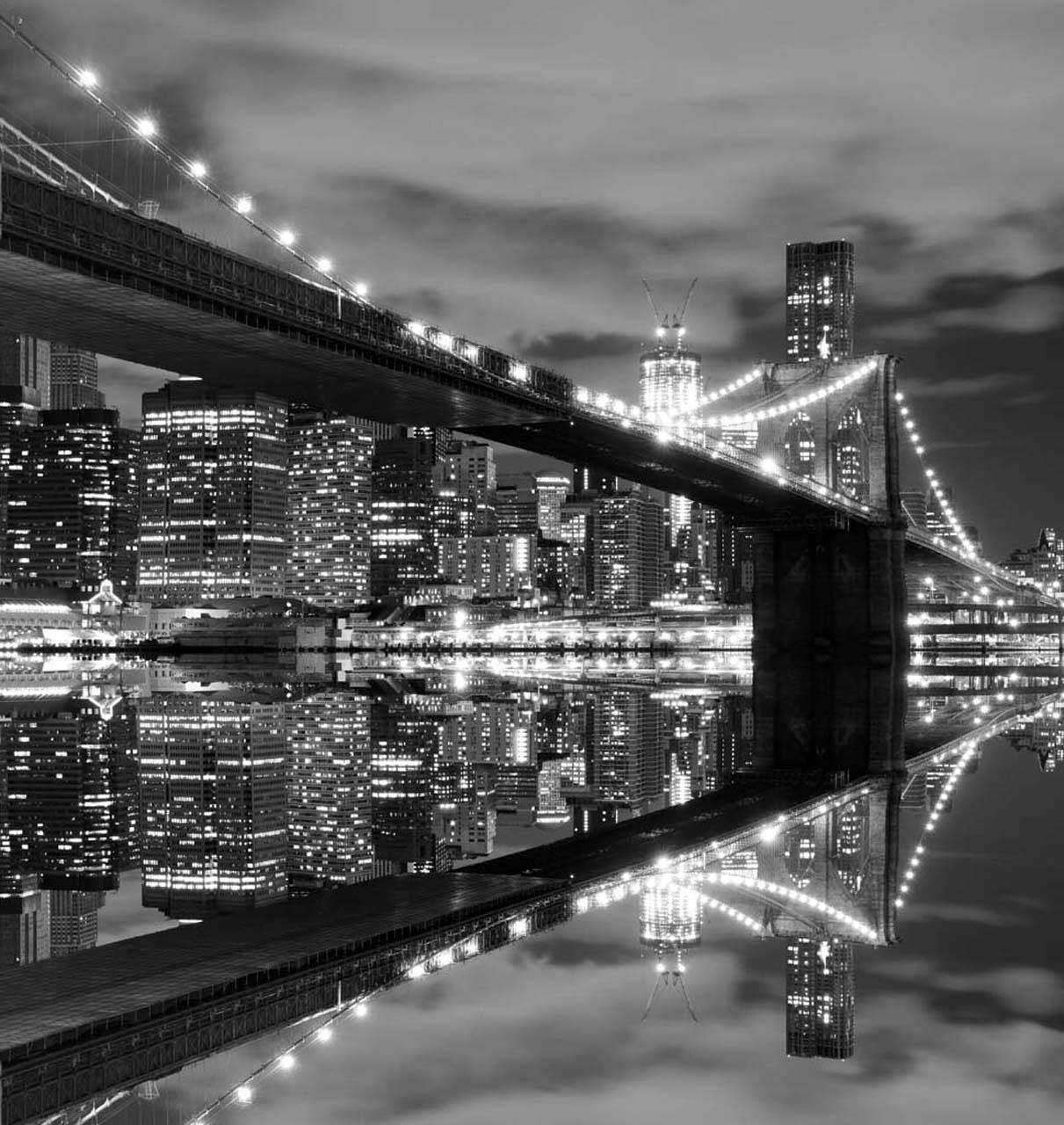 Фотообои в интерьере черно белый мост через реку  4-281 фото