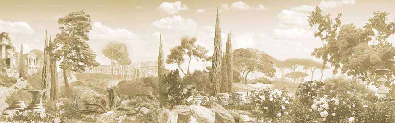 Фотообои в интерьере природа сепия  7-901 фото