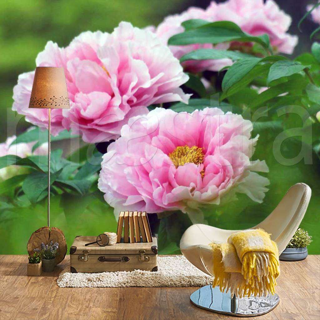 Фотообои Светлые розовые цветы  4-064