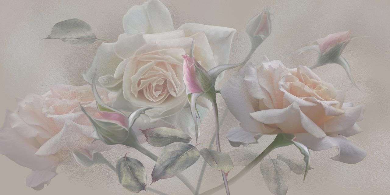 Фотообои в интерьере кустовые розы  13-428 фото