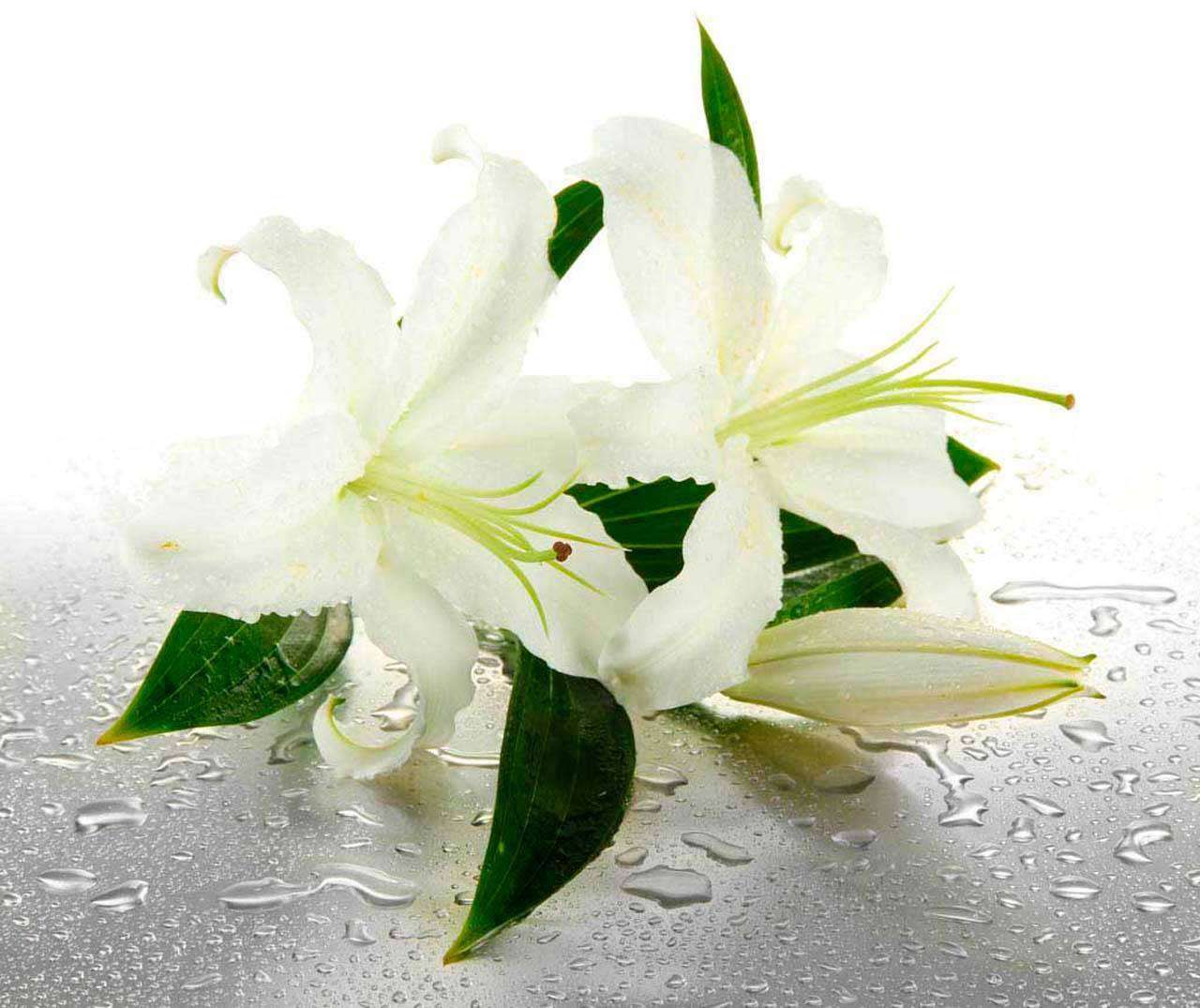 Фотообои в интерьере лилии прекрасные  10-378 фото