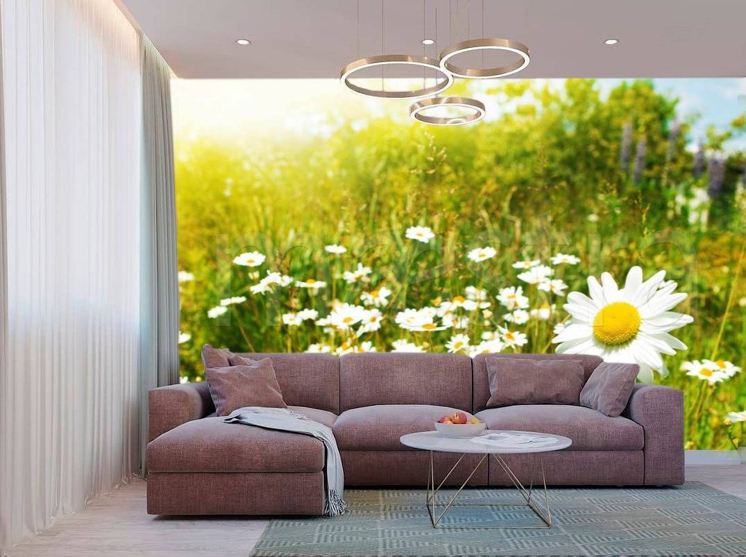 Фотообои Ромашковое поле  3-186