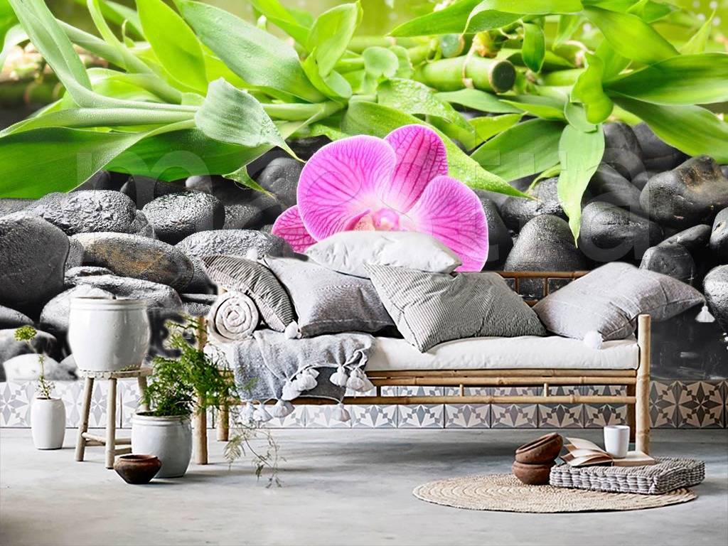 Фотообои Розовая орхидея на черных камнях  3-196