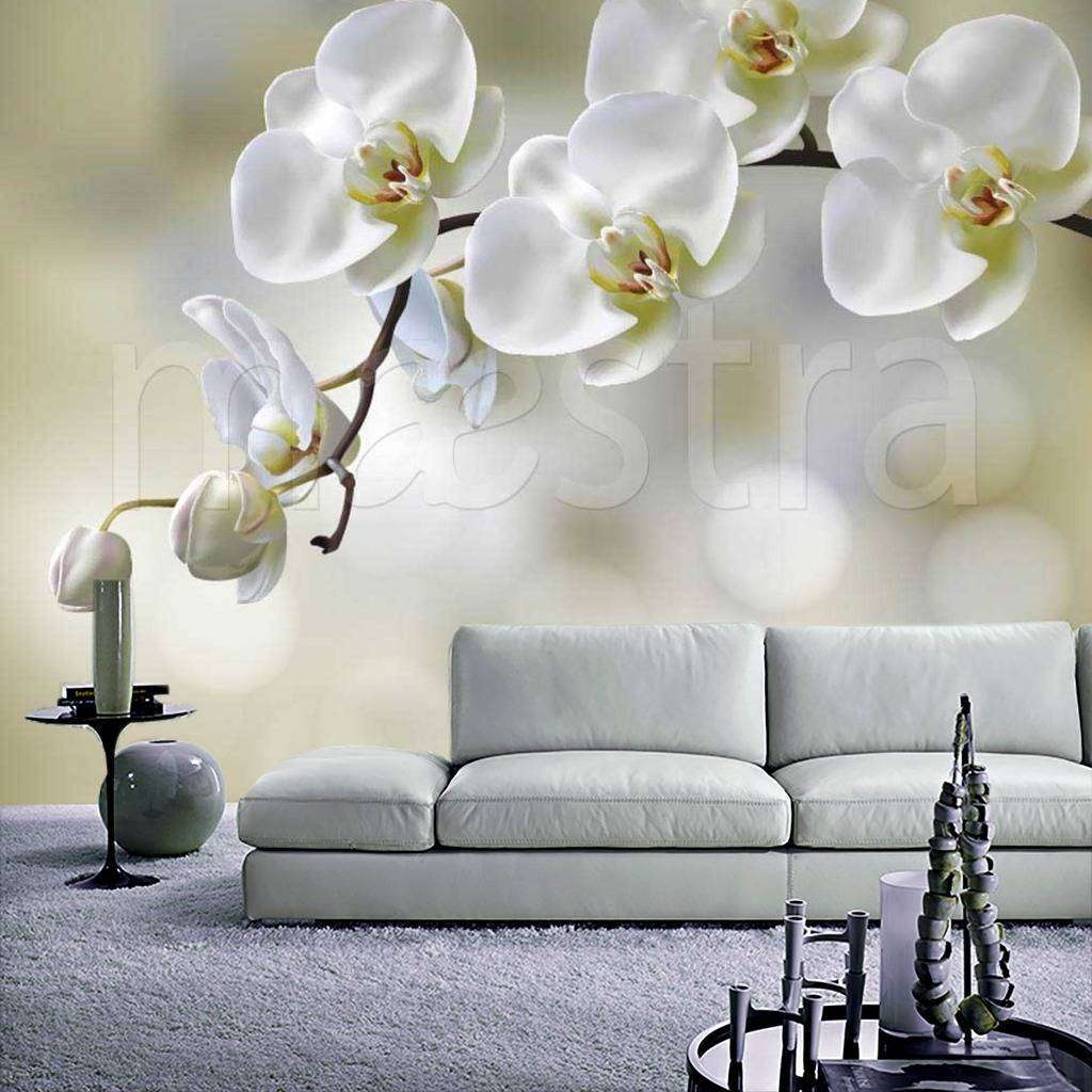 Фотообои Орхидея на светлом фоне  9-008