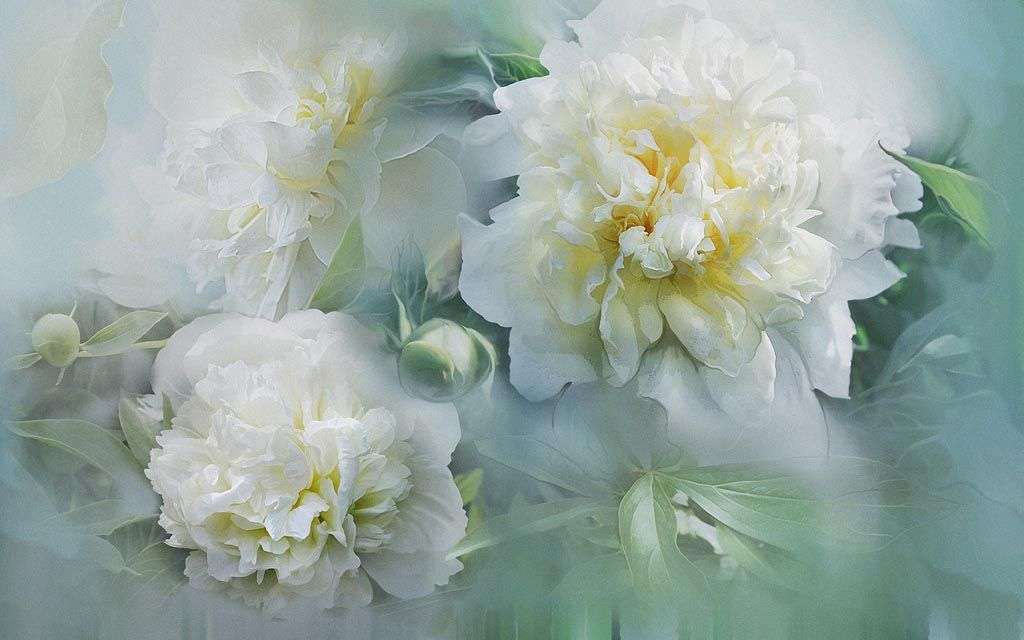 Фотообои в интерьере пион 3д в дымке  13-240 фото