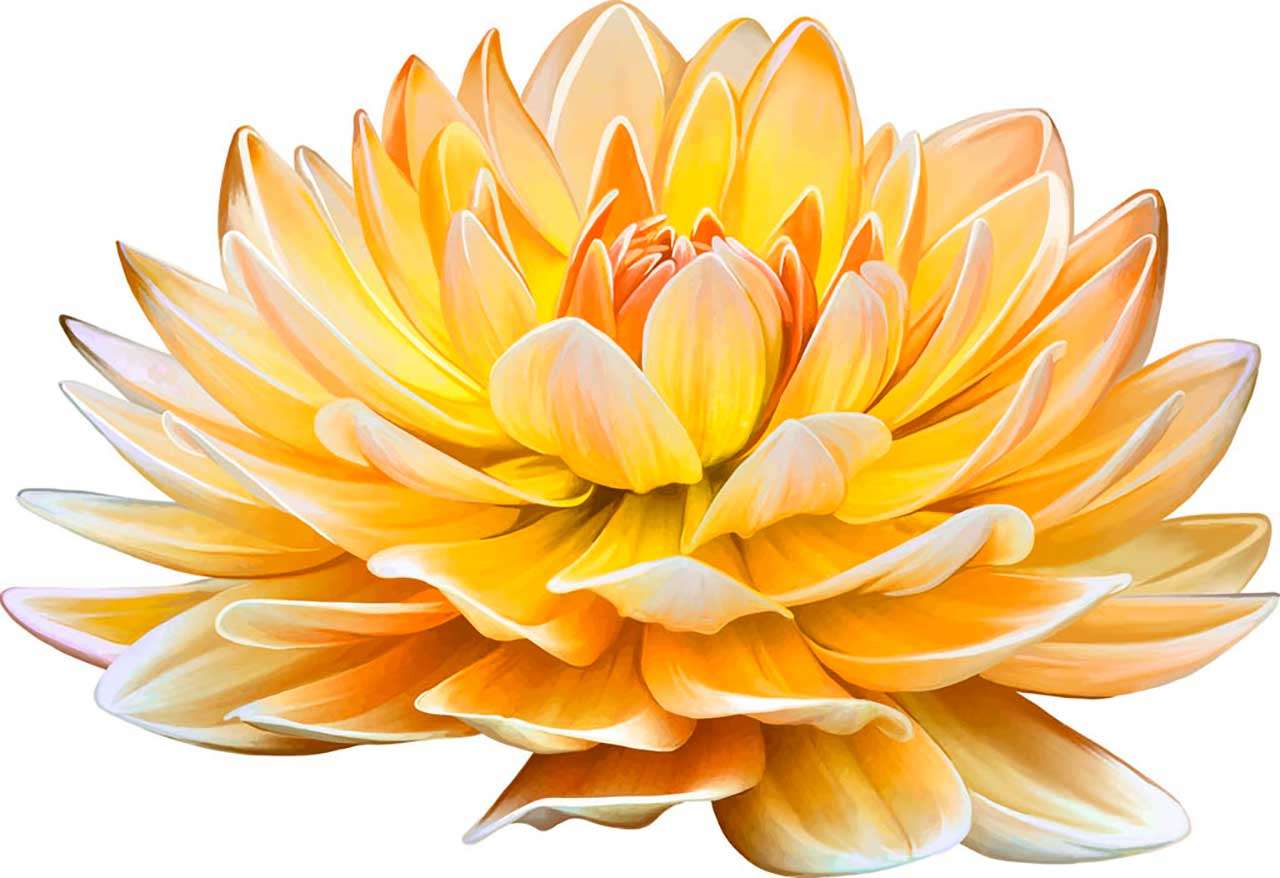 Фотообои в интерьере желтый пион  9-007 фото