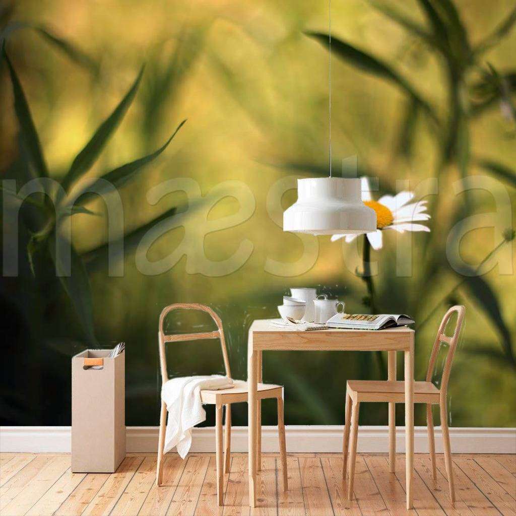 Фотообои Цветок ромашки на темном фоне  4-039