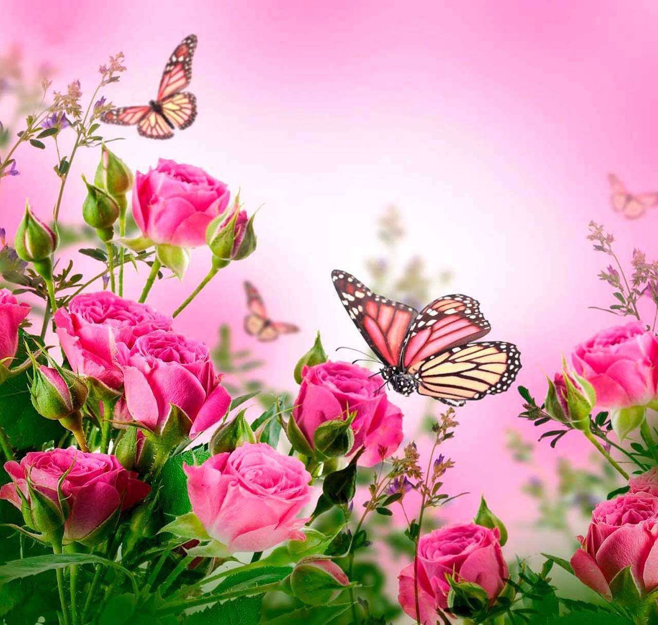 Фотообои в интерьере розовые розы и бабочки  4-097 фото
