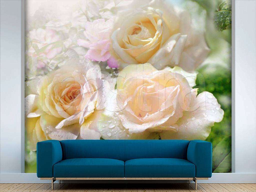 Фотообои Цветы розы на фоне листьев  7-393