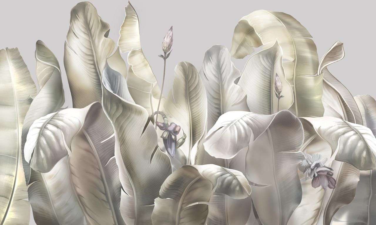 Фотообои в интерьере листья бананового дерева  13-561 фото