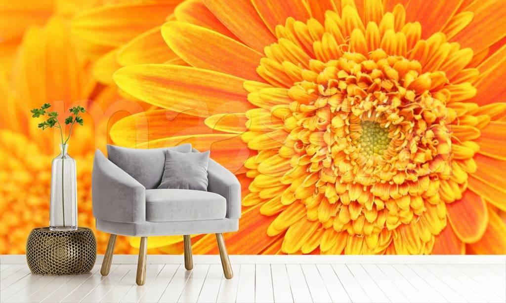 Фотообои Большие оранжевые цветы  3-166