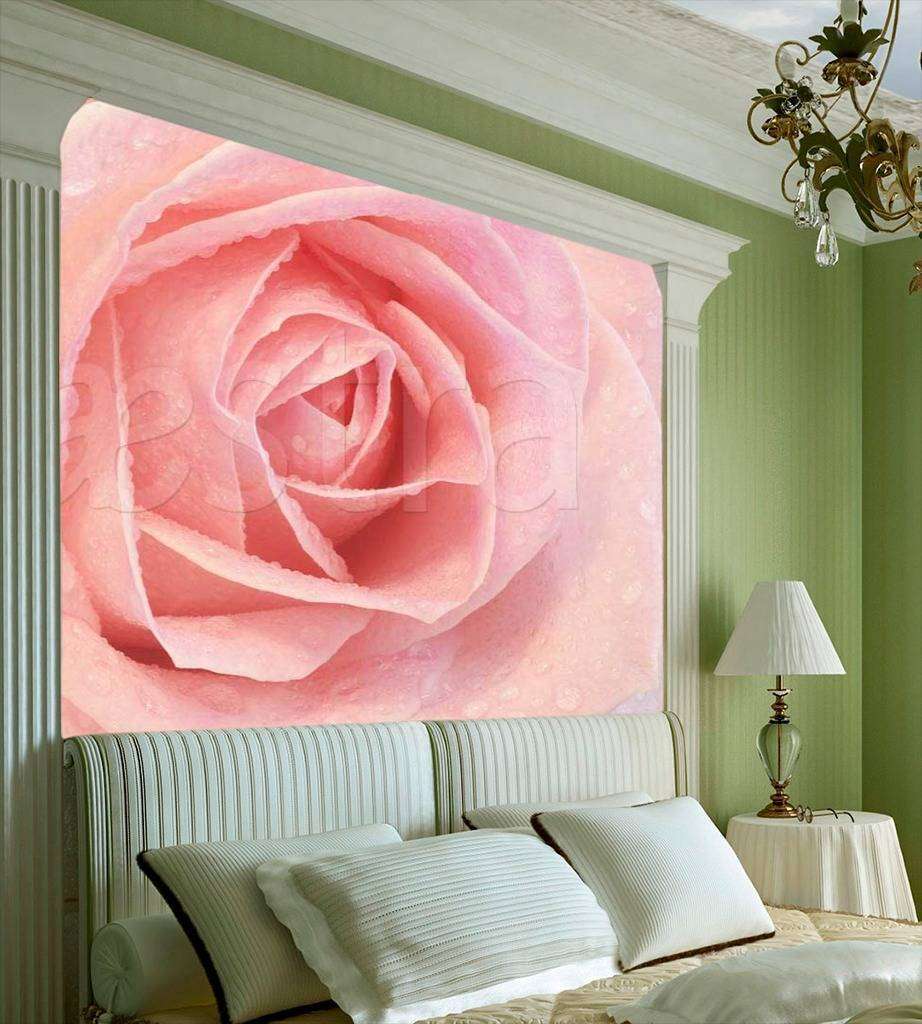 Фотообои Розовая роза с каплями росы  10-257