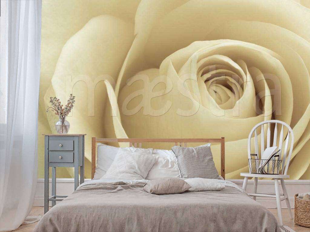 Фотообои Бежевые розы выразительные  10-241