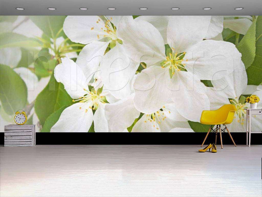 Фотообои Белый цвет в саду  9-072