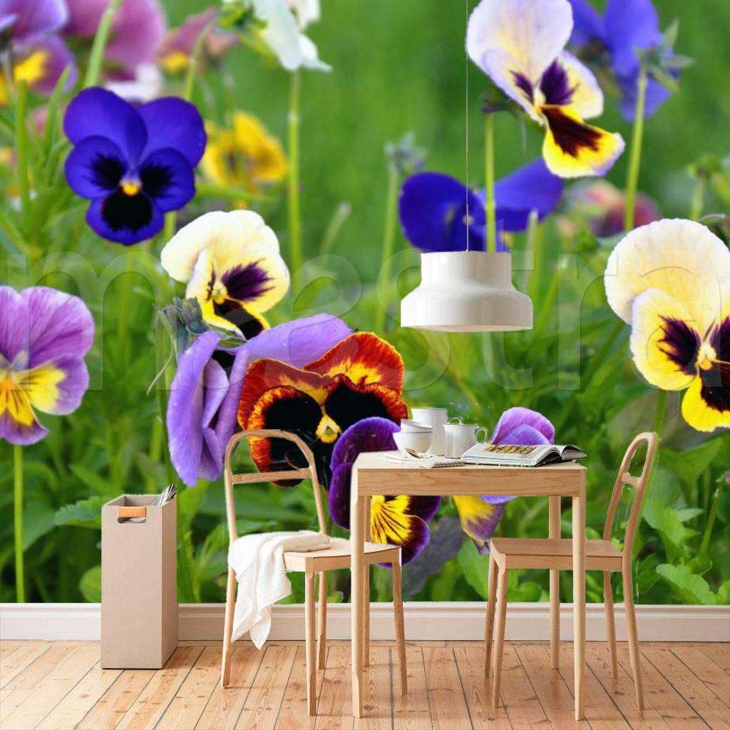 Фотообои Полевые яркие цветы  4-086