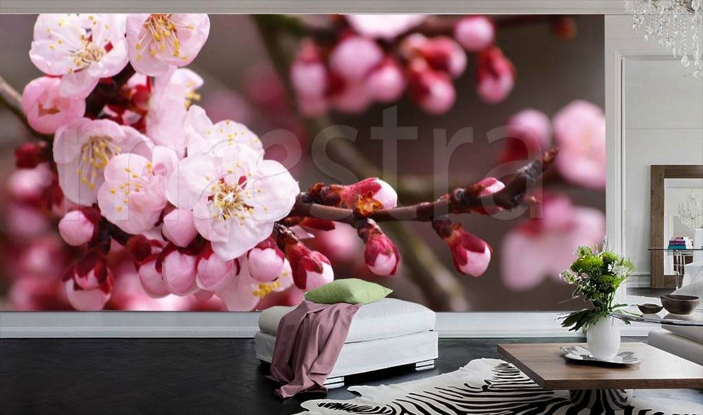 Фотообои Цветущая яблоня  3-178