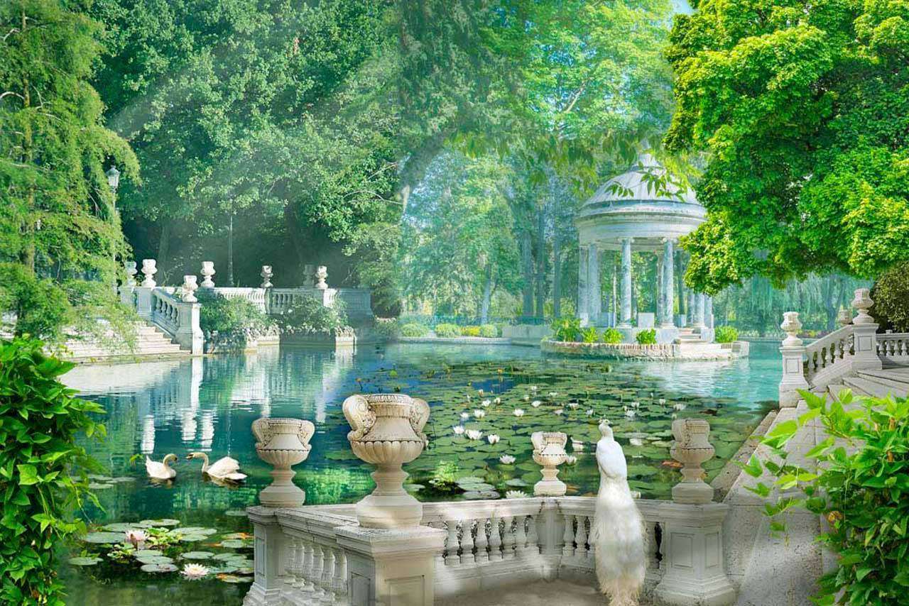 Фотообои в интерьере большой пруд с кувшинками  7-351 фото