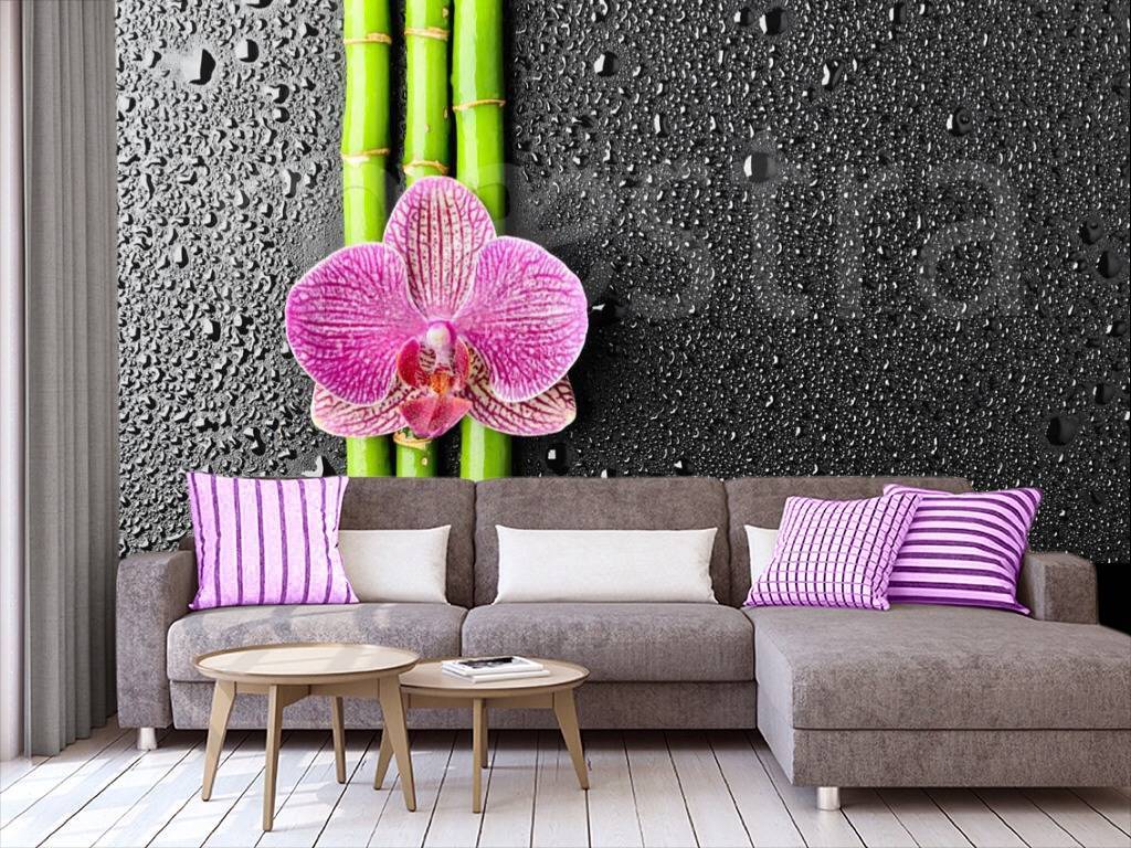 Фотообои Розовая орхидея и капли воды  3-198