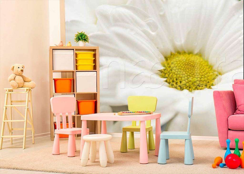 Фотообои Ромашка с желтой сердцевиной  10-349