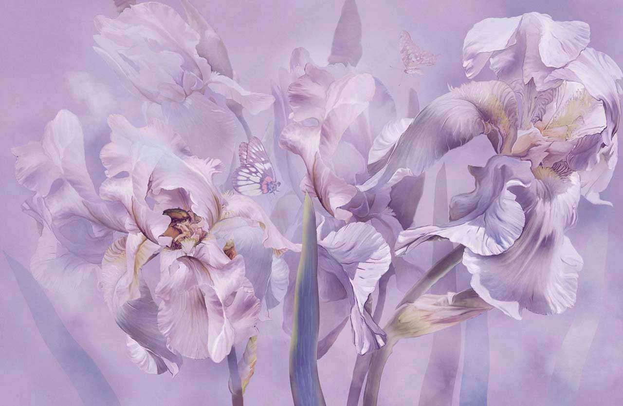 Фотообои в интерьере сиреневые ирисы  13-180 фото