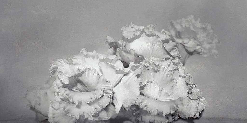 Фотообои в интерьере белые цветы 3д  9-1256 фото