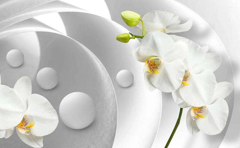 Фотообои в интерьере ветка сакуры  15-751 фото