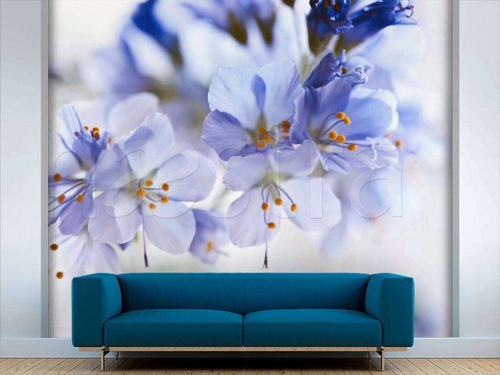 Фотообои Голубые цветы 3д  4-084