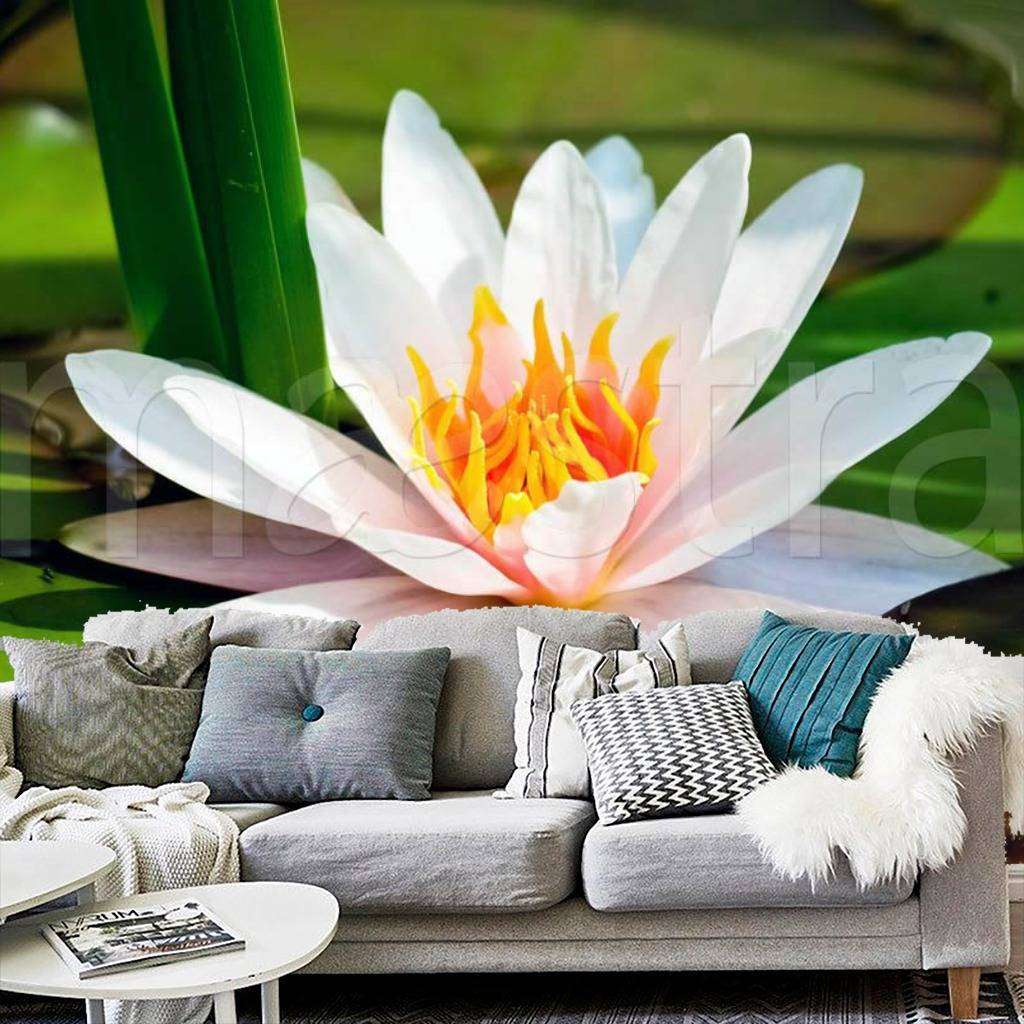 Фотообои Крупная лилия на воде  4-036