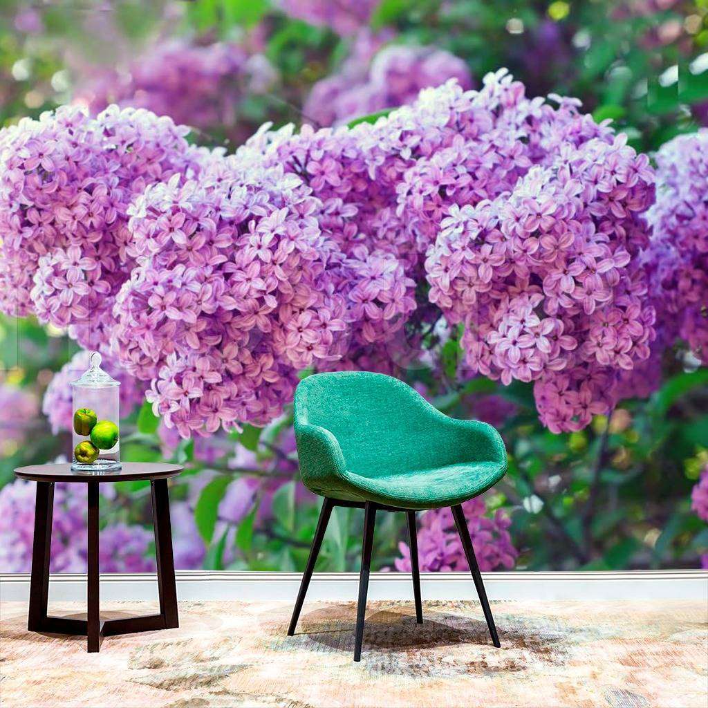 Фотообои Красивая сирень  4-048