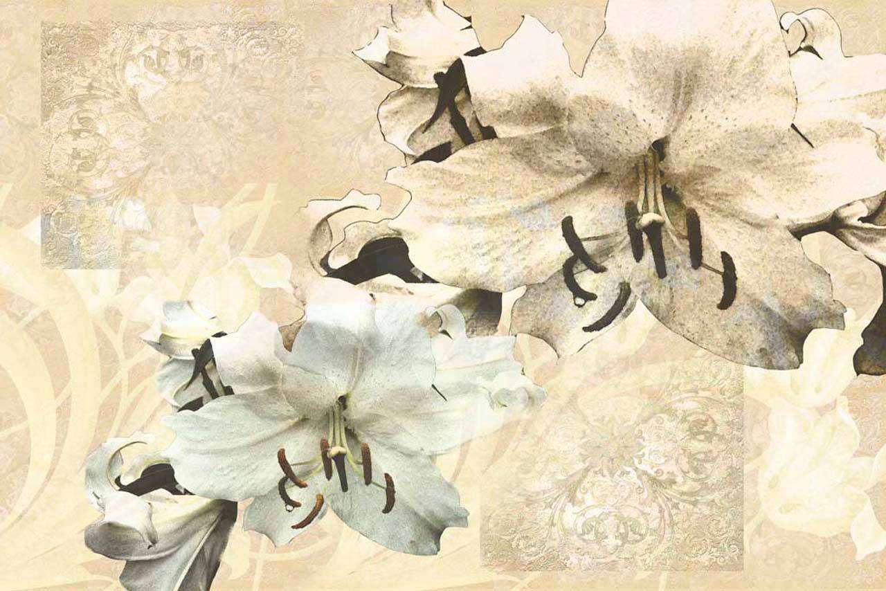 Фотообои в интерьере лилия светлая абстракция  2-125 фото