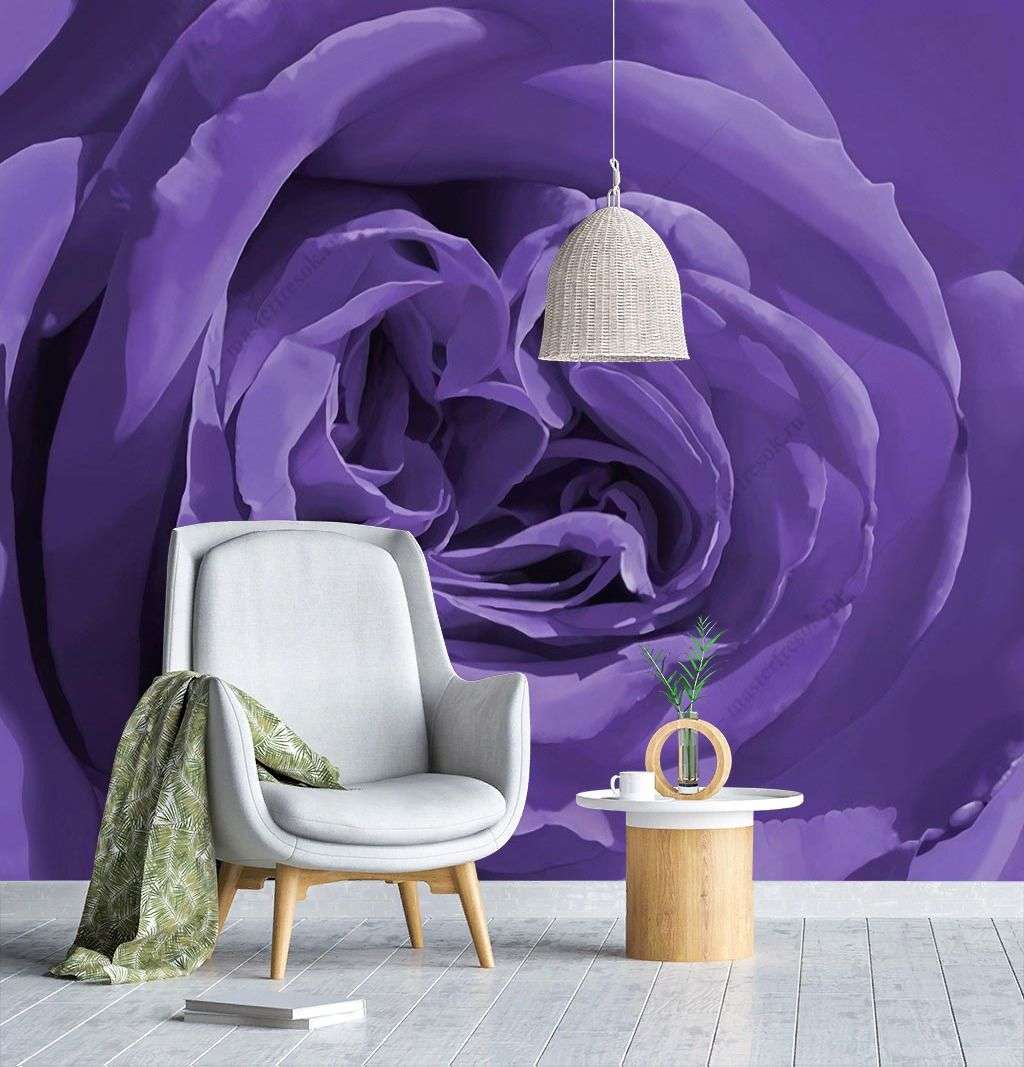 Фотообои в интерьере сиреневая роза  9-1431 фото