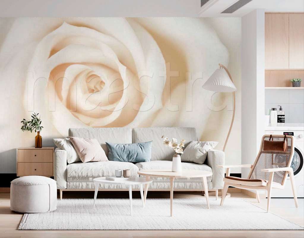 Фотообои Белая роза живописная  10-229