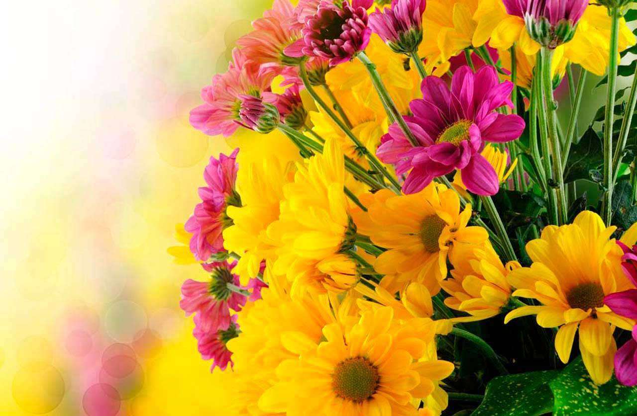 Фотообои в интерьере красивый букет крупный цветов  4-056 фото