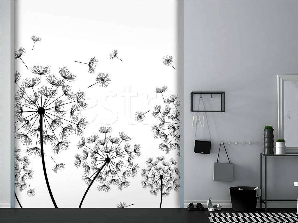 Фотообои Black and white dandelions  10-082