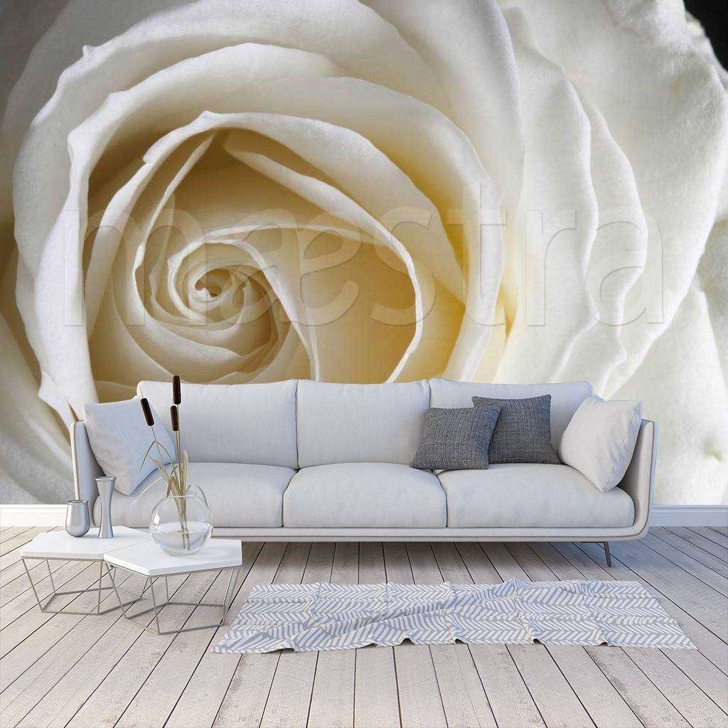 Фотообои Белая роза пленительная  10-230