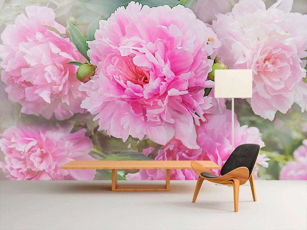 Фотообои в интерьере 3д пионы розовые  13-241 фото