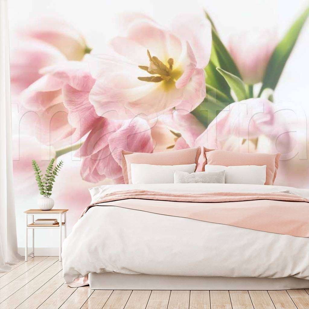 Фотообои Розовые тюльпаны на белом фоне  10-122