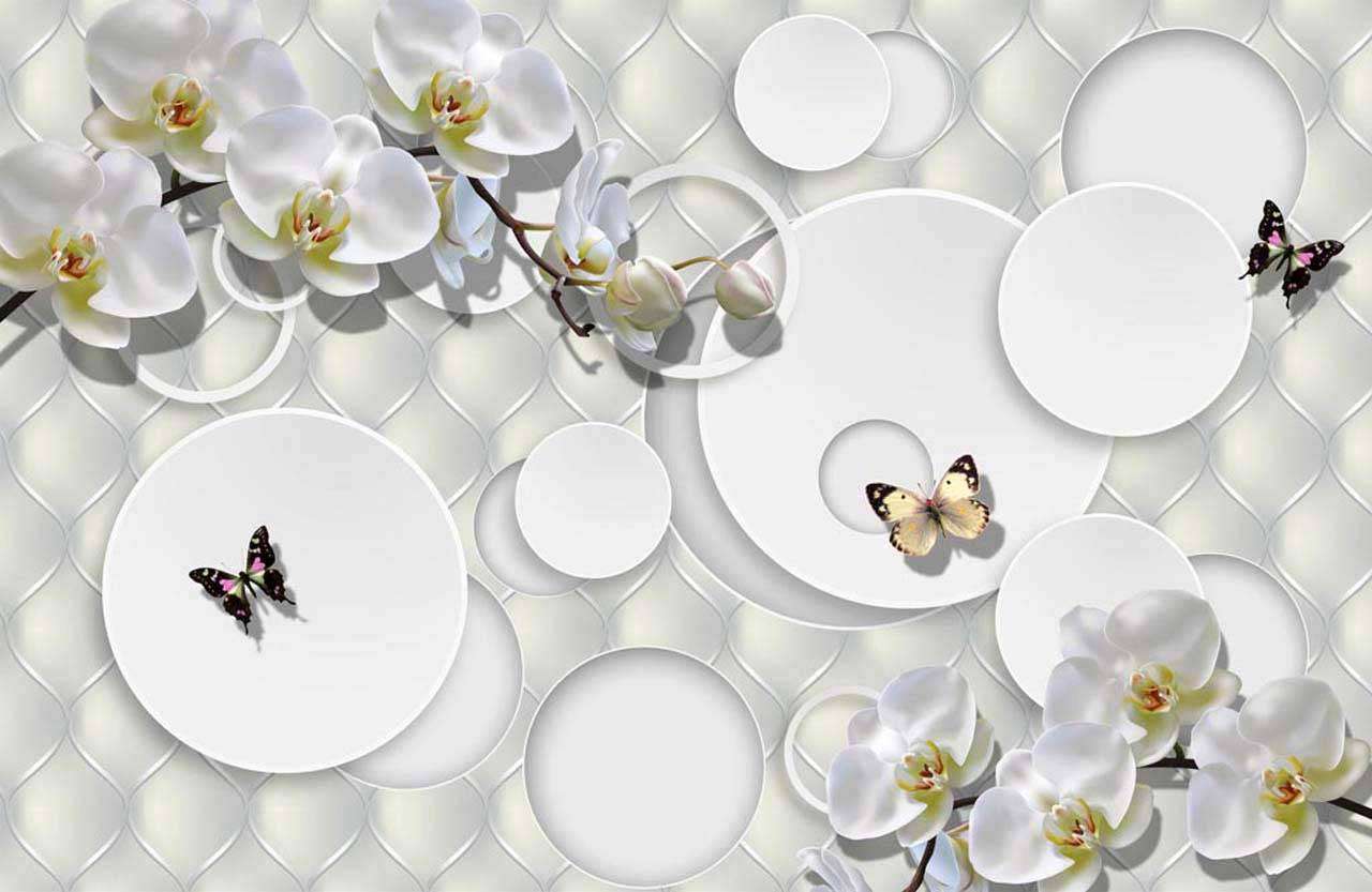 Фотообои в интерьере стереоскопические орхидеи с кругами 3д  7-473 фото