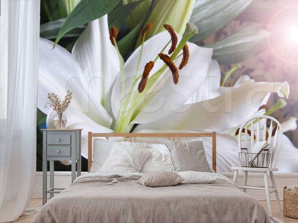 Фотообои Белоснежная лилия  10-372