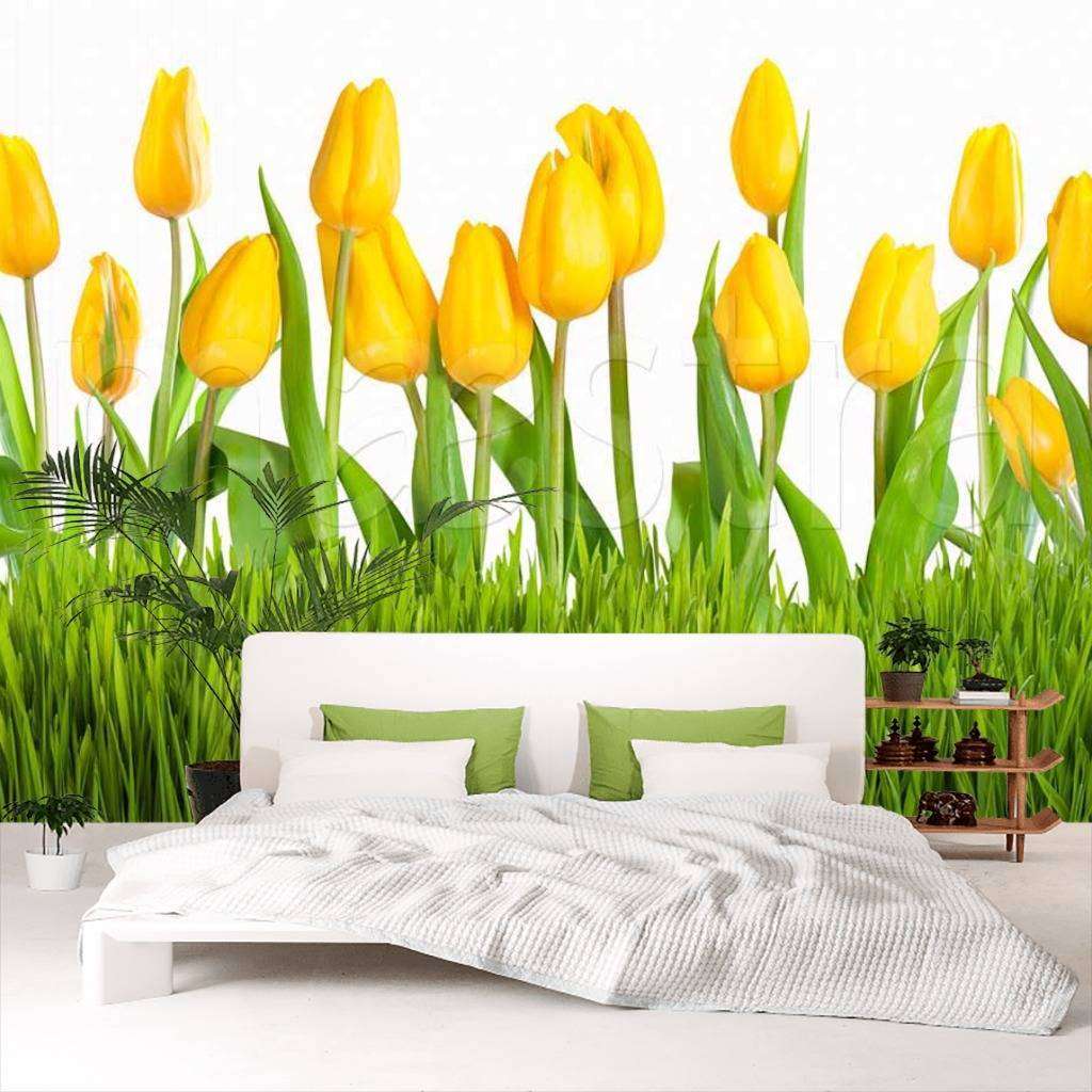 Фотообои Желтые бутоны тюльпанов  10-133