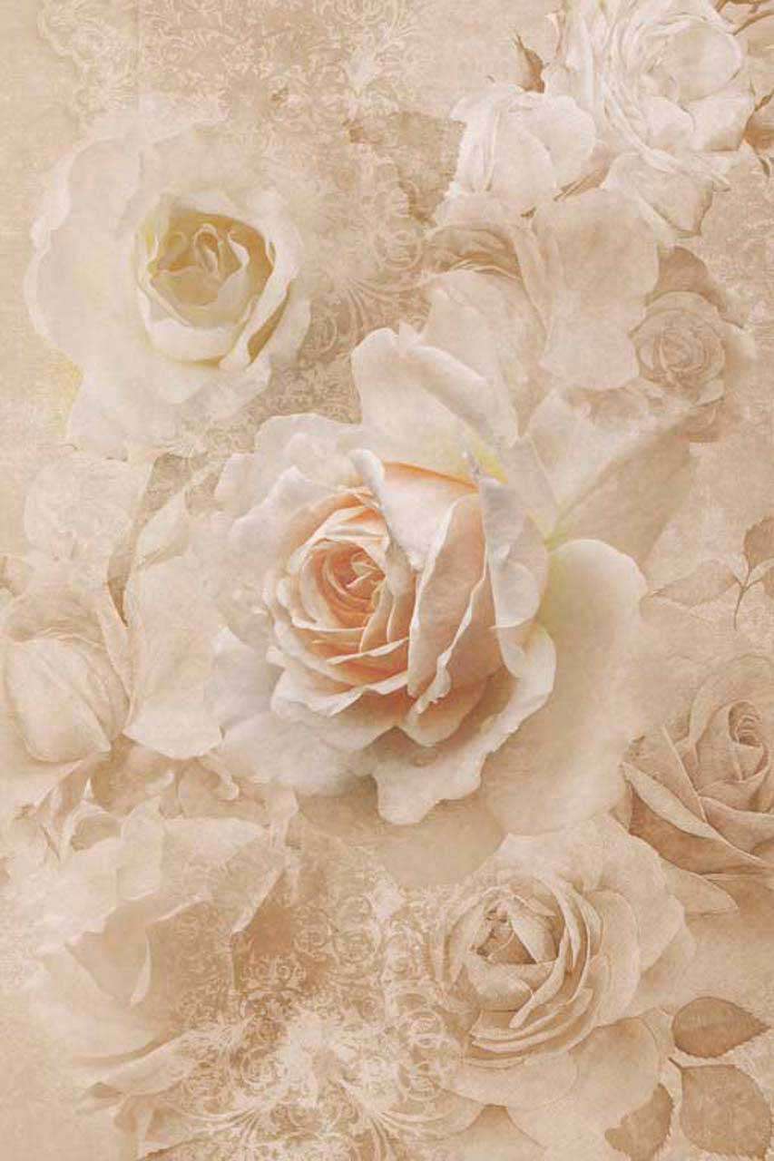 Фотообои в интерьере 3д розы светлые  7-699 фото