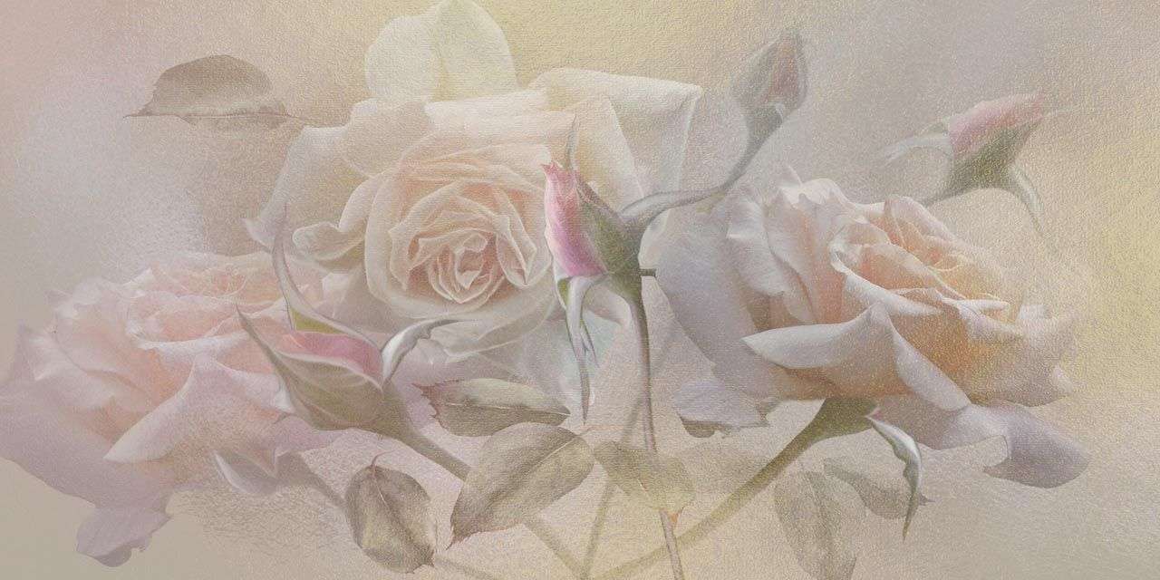 Фотообои в интерьере розы в тумане  13-429 фото