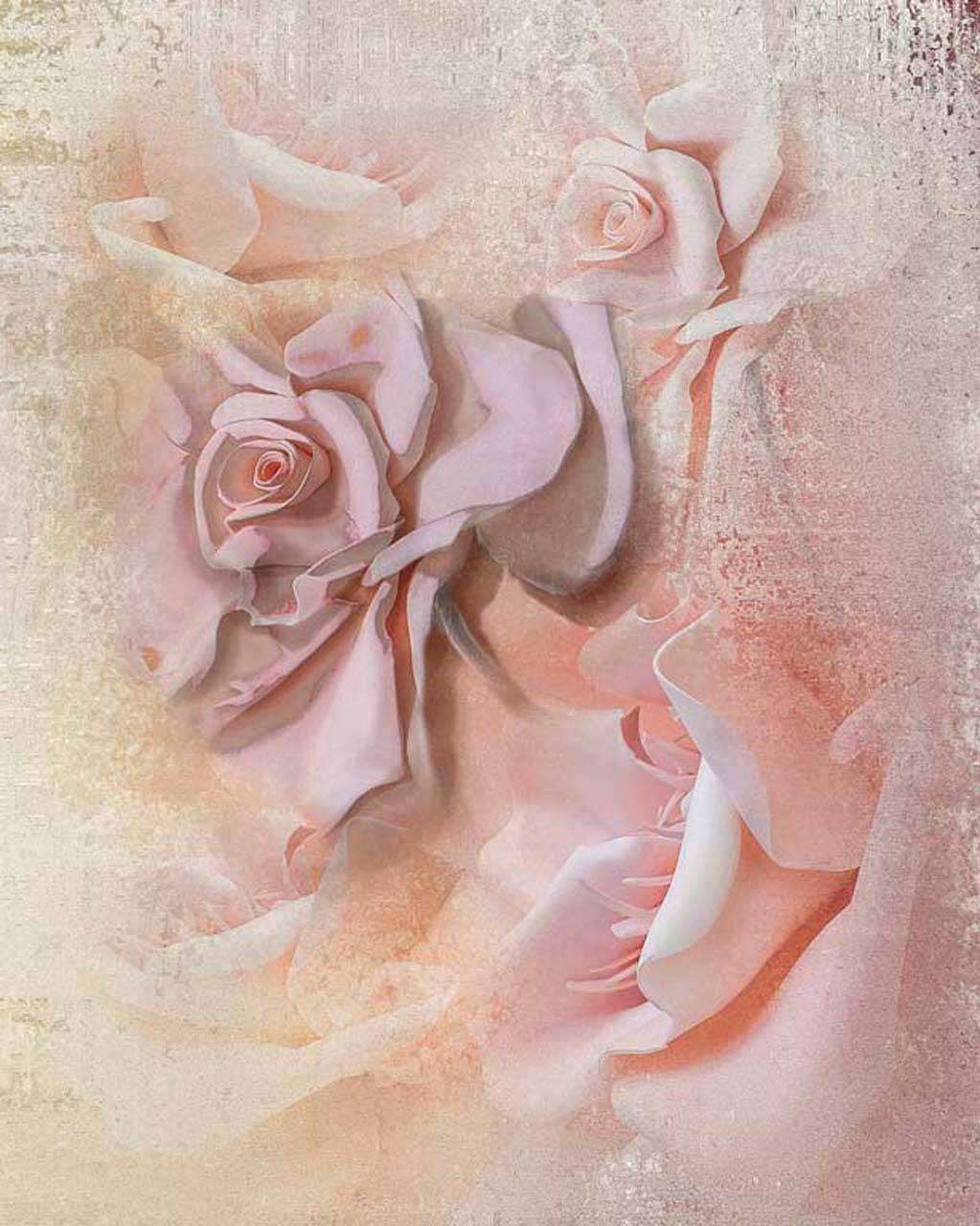 Фотообои в интерьере светлые розы, абстракция  7-537 фото