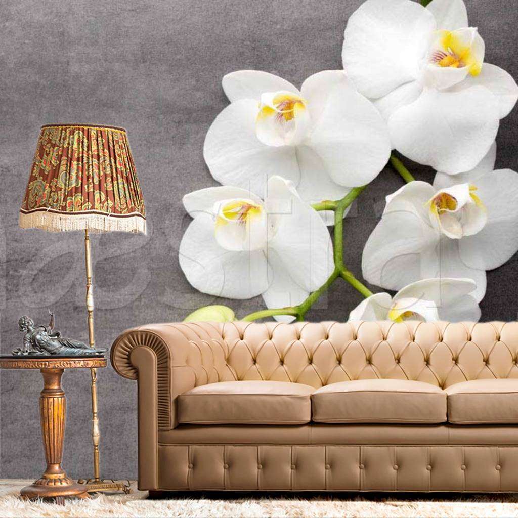 Фотообои Белая орхидея на сером фоне  10-195