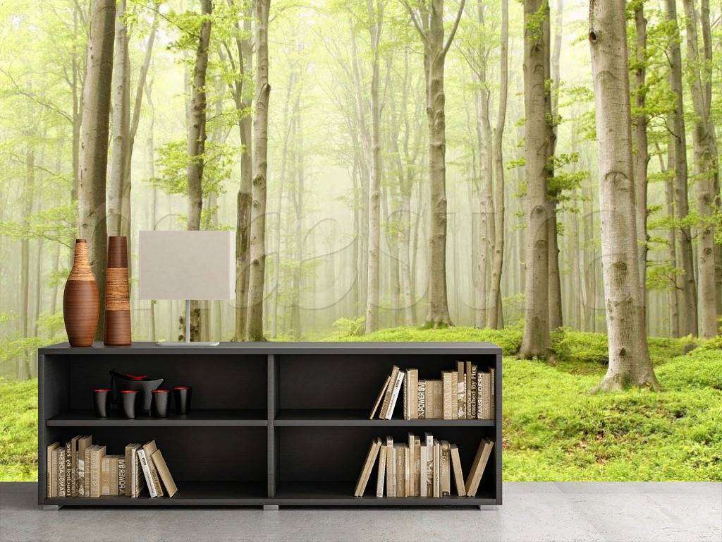 Фотообои в интерьере прозрачный лес  9-177 фото