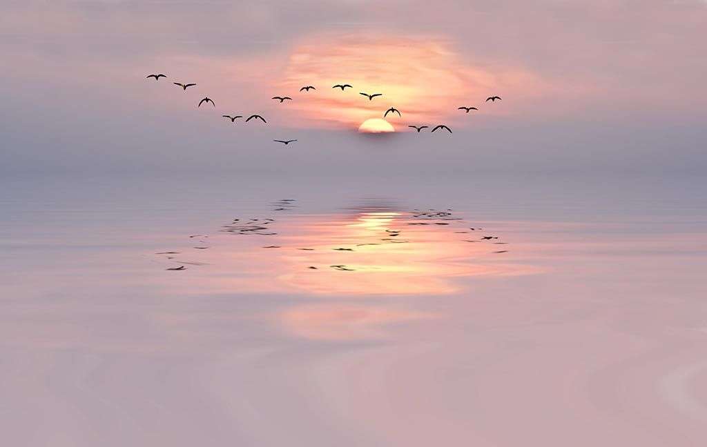 Фотообои в интерьере море на закате  9-1482 фото